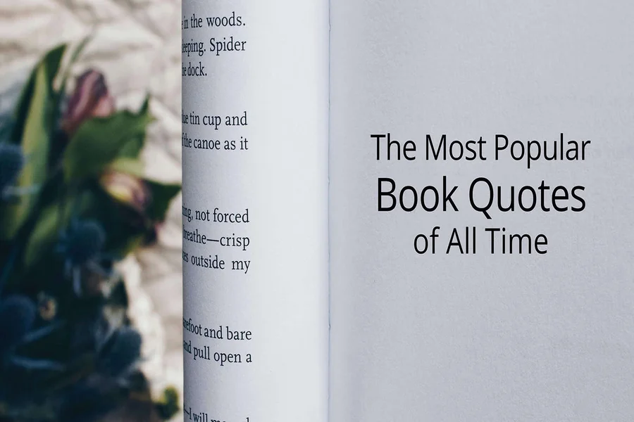 Book Quotes