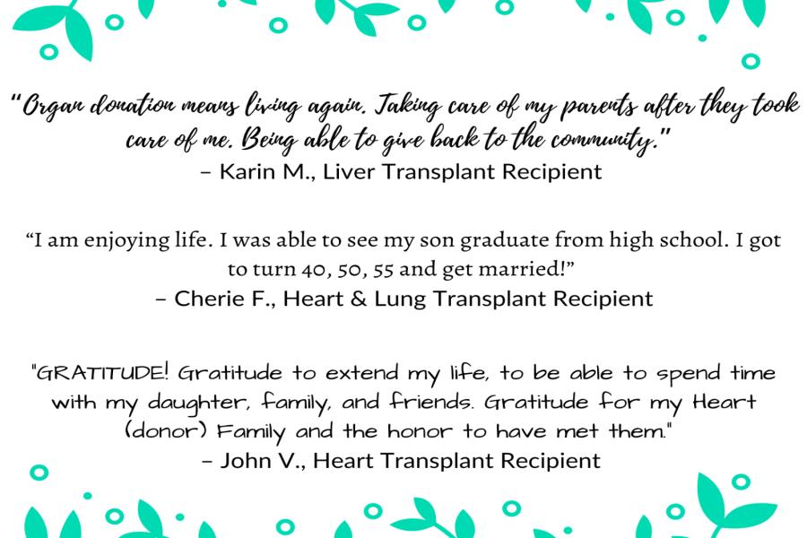 Organ Donor Quotes