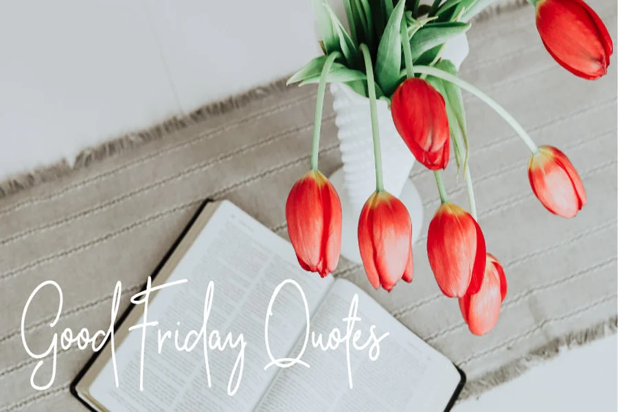 Friday Quotes