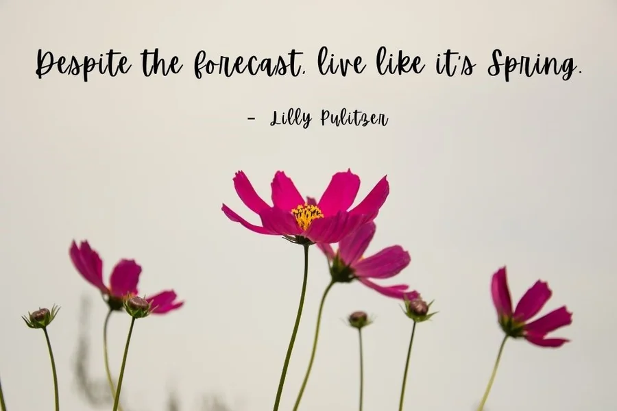 Spring Quotes