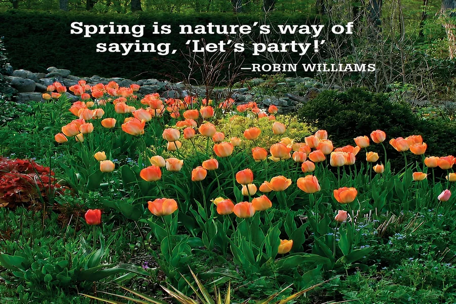 Spring Quotes