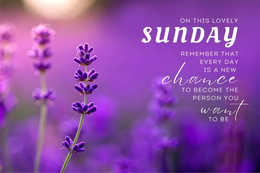 Sunday Quotes