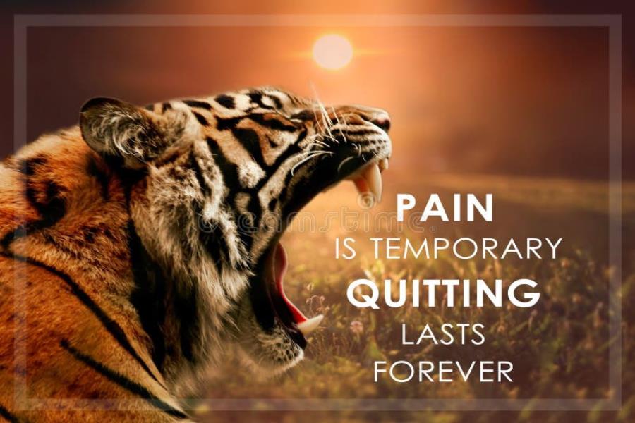 Quotes About Tigers