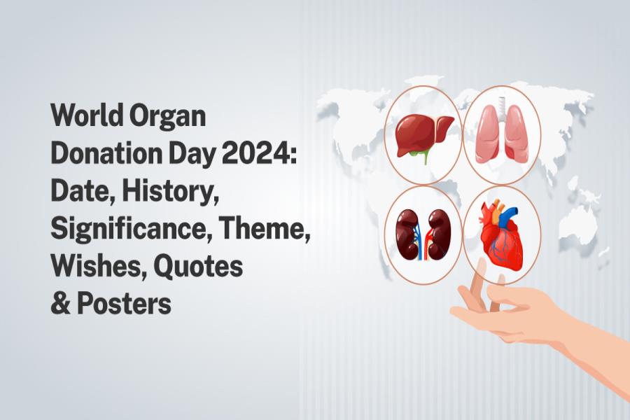 Organ Donor Quotes